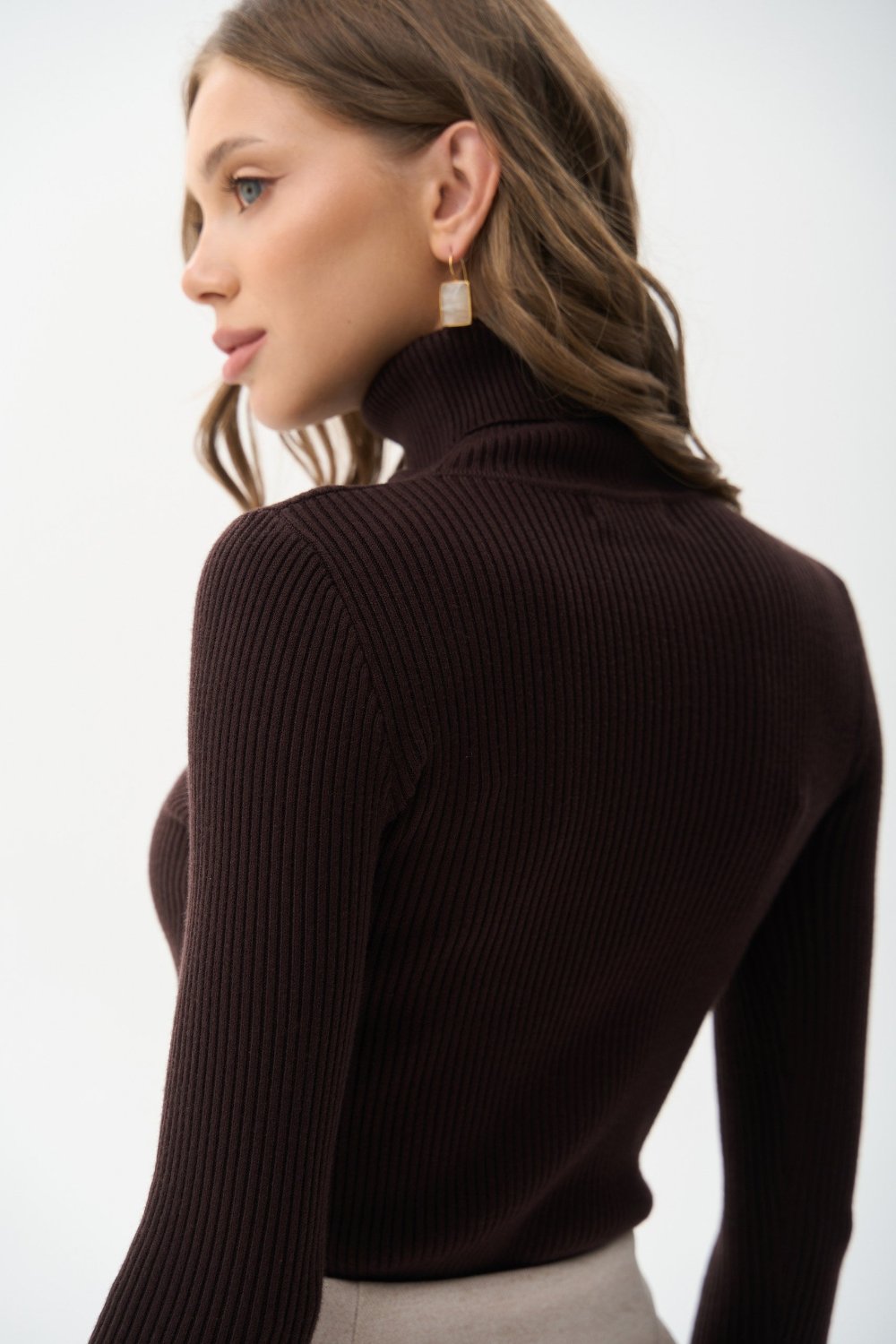 Ribbed turtleneck sweater in color brown - SOLMAR