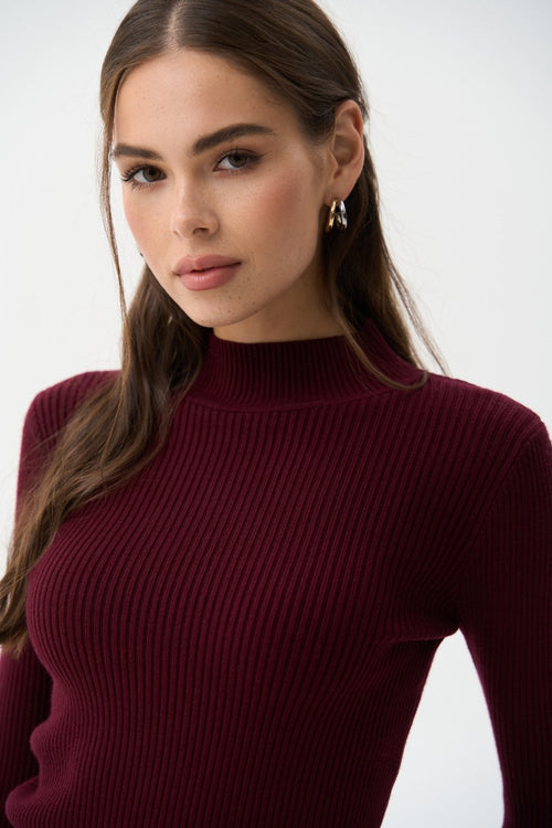 Sweater with a neck rack in color burgundy - SOLMAR