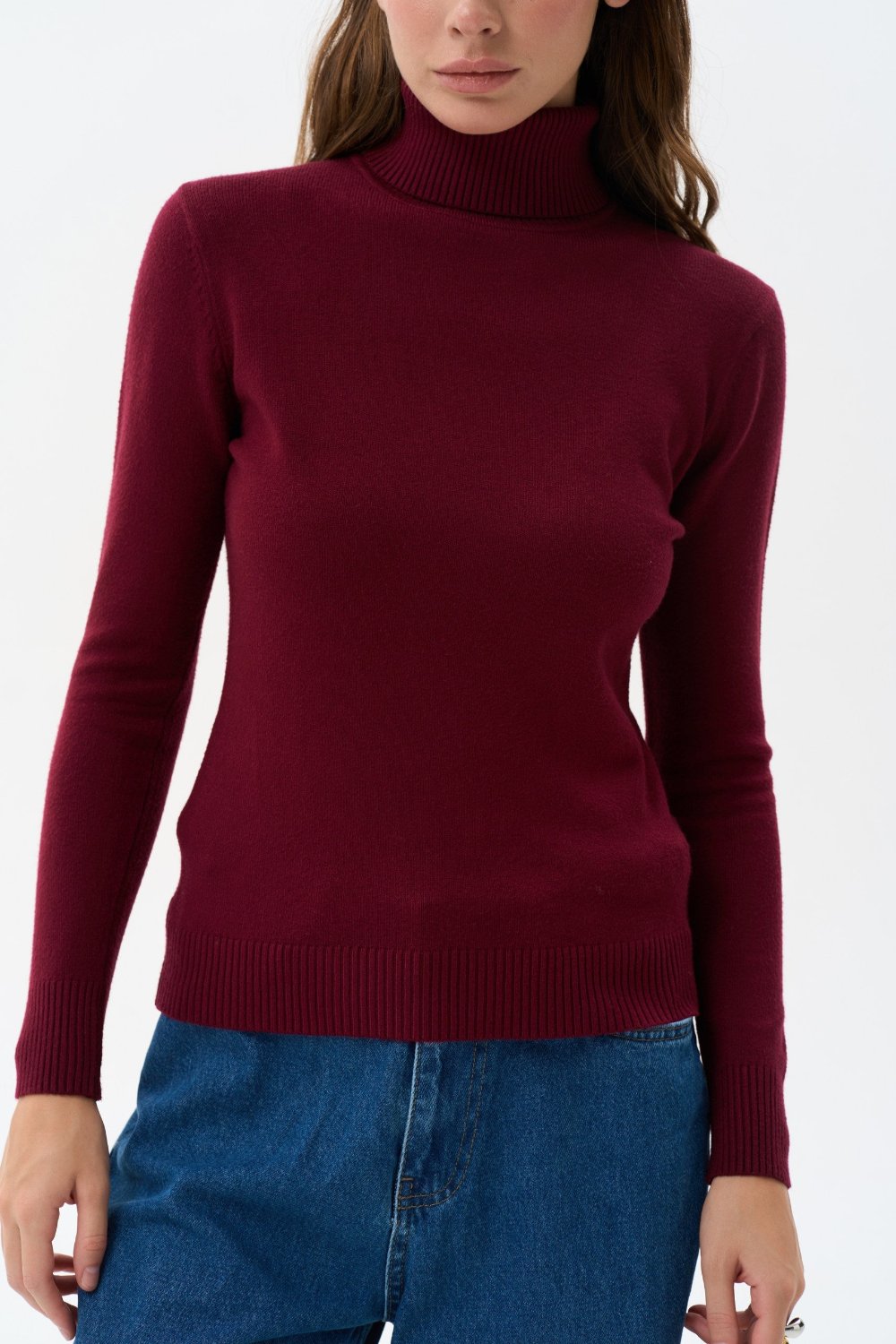 Turtleneck sweater in color burgundy - SOLMAR