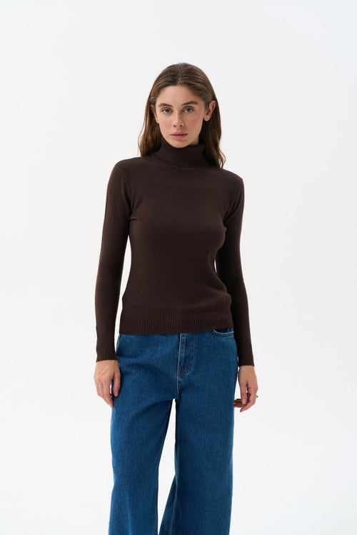 Turtleneck sweater in color brown - SOLMAR