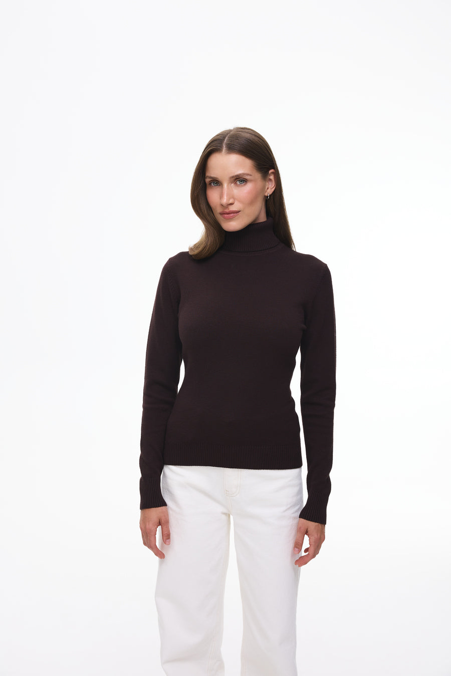 Turtleneck Sweater, Brown