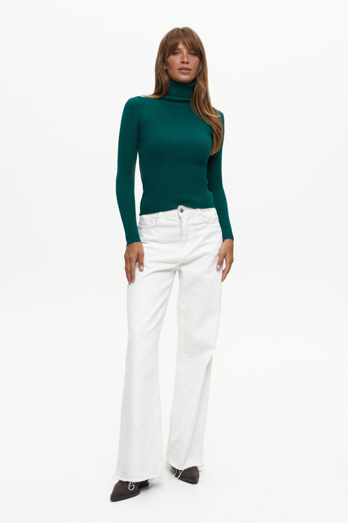 Ribbed turtleneck sweater in color green