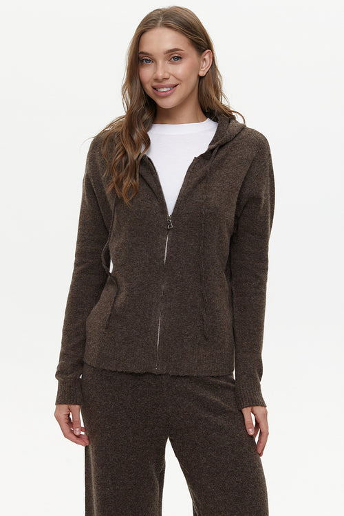 Brown Sweatshirt and Gogger Pants Set