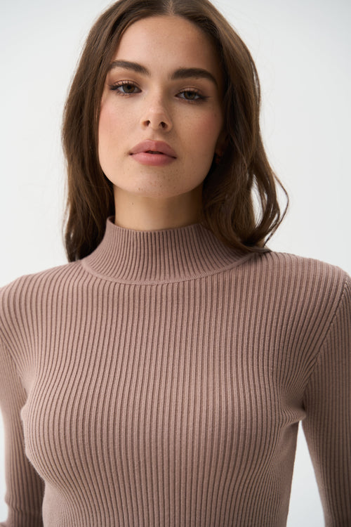 Brown Rib Knit Turtleneck Sweater