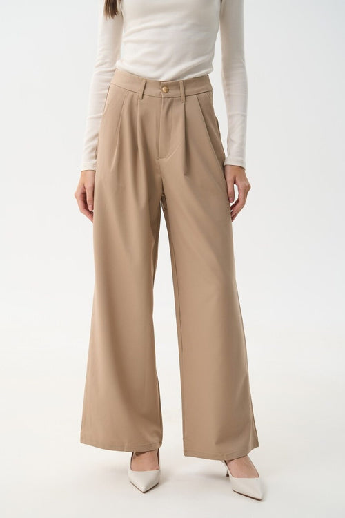 Classic pants color beige - SOLMAR