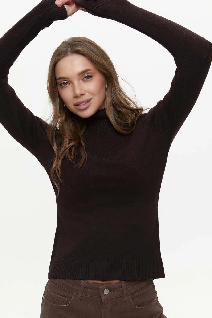 Brown Basic Knit Turtleneck Sweater