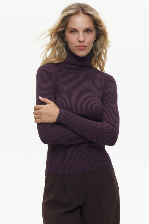 Purple Fine Ribbed Turtleneck