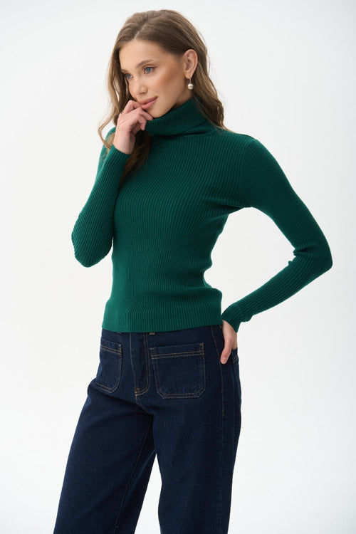 Ribbed turtleneck sweater in color green - SOLMAR