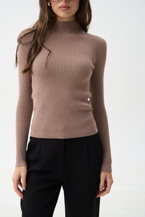 Sweater with a neck rack in color brown - SOLMAR