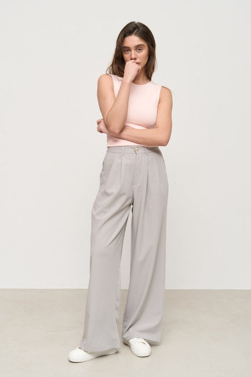 Classic pants color grey - SOLMAR