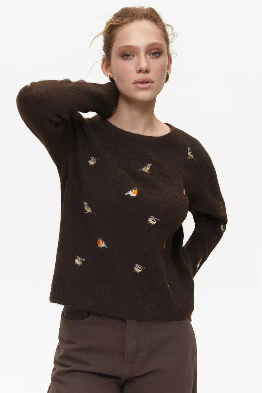 Brown Sweater with Embroidered Birds